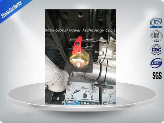 เครื่องกำเนิดไฟฟ้าดีเซลแบบเปิด 250 กิโลวัตต์ / 313 กิโลโวลต์แอมป์ เครื่องกำเนิดไฟฟ้าดีเซลทั่วโลก ผู้ผลิต